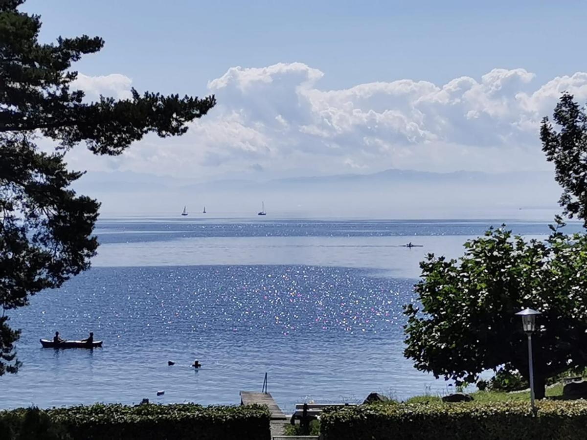 Gaestehaus Zum Landesteg Immenstaad am Bodensee Luaran gambar