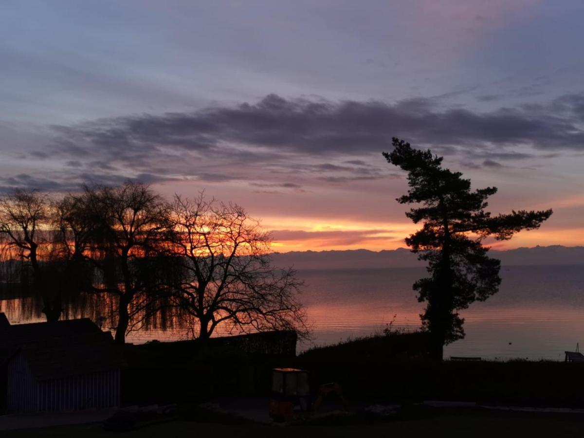 Gaestehaus Zum Landesteg Immenstaad am Bodensee Luaran gambar