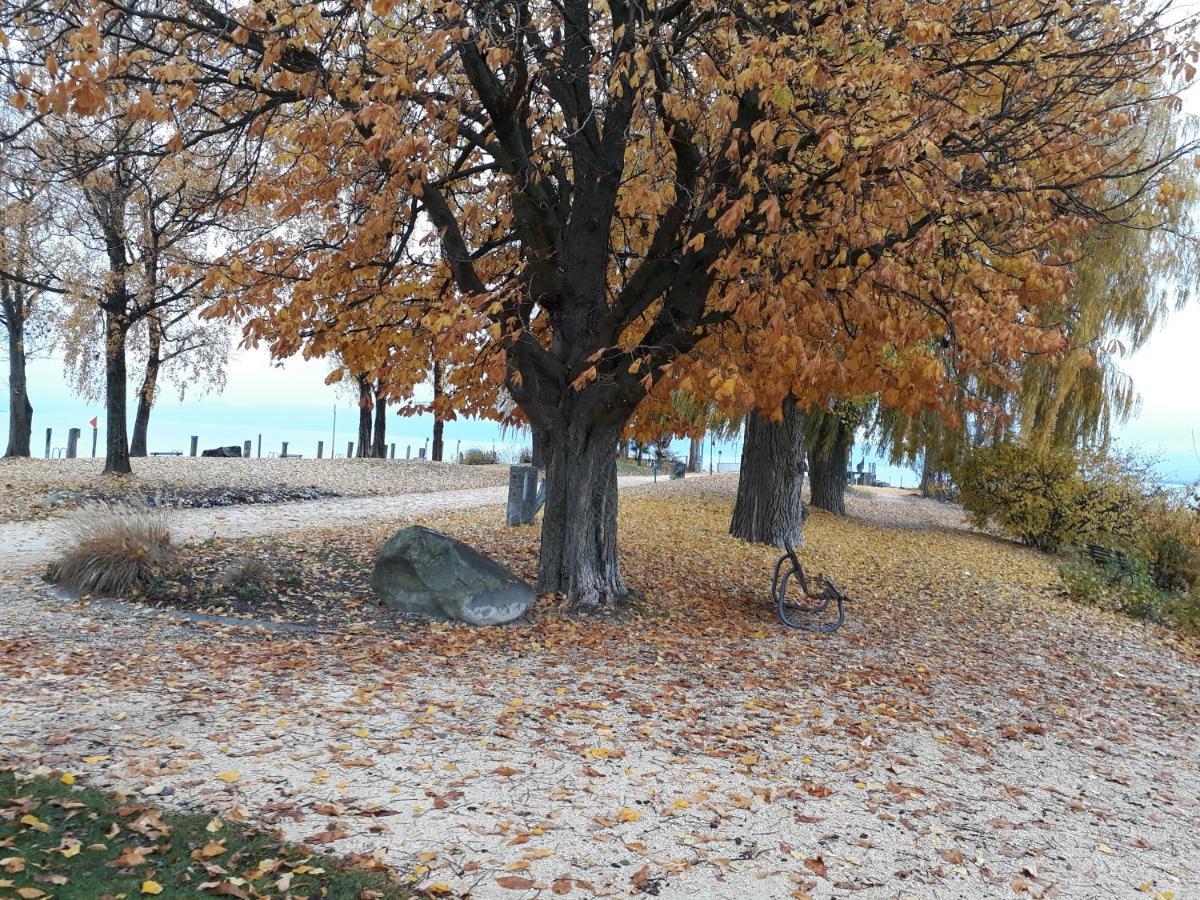 Gaestehaus Zum Landesteg Immenstaad am Bodensee Luaran gambar