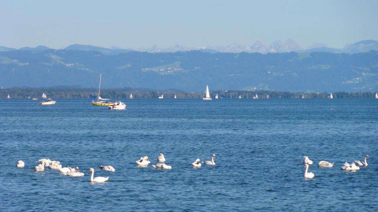 Gaestehaus Zum Landesteg Immenstaad am Bodensee Luaran gambar